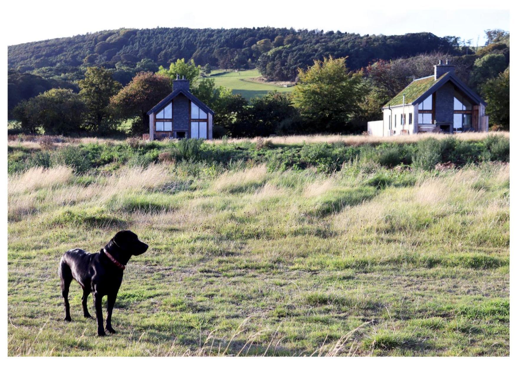 Eco-Lodge With Sea View Charleton Estate Colinsburgh Eksteriør billede
